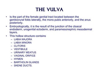 The vulvaThe vulva
• Is the part of the female genital tract located between the
genitocrural folds laterally, the mons pubis anteriorly, and the anus
posteriorly.
• Embryologically, it is the result of the junction of the cloacal
endoderm, urogenital ectoderm, and paramesonephric mesodermal
layers.
• This hollow structure contains
– LABIA MAJORA
– LABIA MINORA
– CLITORIS
– VESTIBULE
– URINARY MEATUS
– VAGINAL ORIFICE
– HYMEN
– BARTHOLIN GLANDS
– SKENE DUCTS.
 