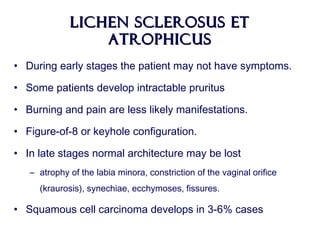 Lichen Sclerosus etLichen Sclerosus et
AtrophicusAtrophicus
• During early stages the patient may not have symptoms.
• Some patients develop intractable pruritus
• Burning and pain are less likely manifestations.
• Figure-of-8 or keyhole configuration.
• In late stages normal architecture may be lost
– atrophy of the labia minora, constriction of the vaginal orifice
(kraurosis), synechiae, ecchymoses, fissures.
• Squamous cell carcinoma develops in 3-6% cases
 
