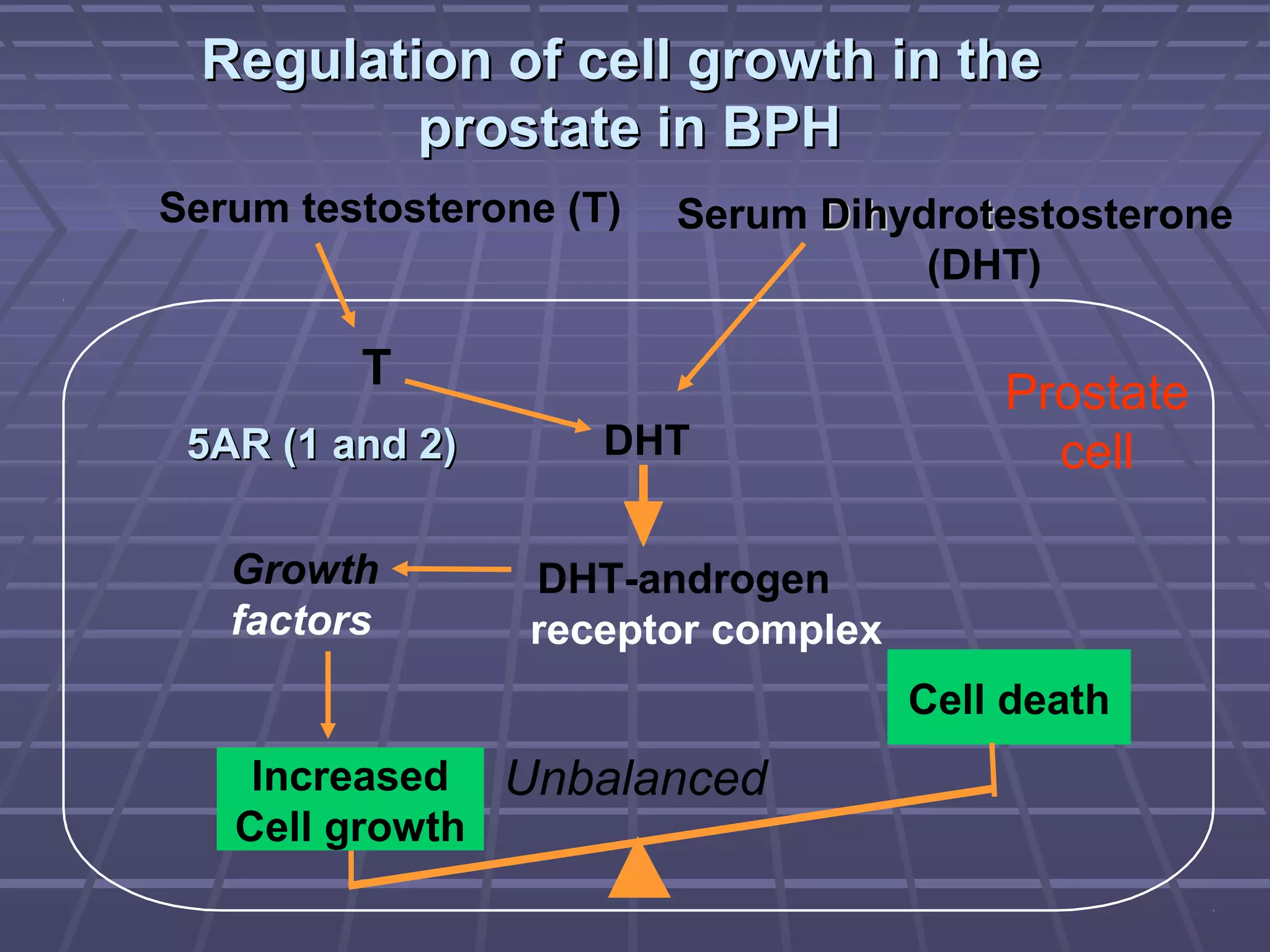 Regulation of cell growth in the
          prostate in BPH
Serum testosterone (T)   Serum Dihydrotestosterone
                                    (DHT)

         T                              Prostate
 5AR (1 and 2)       DHT                  cell

   Growth        DHT-androgen
   factors       receptor complex
                                    Cell death
    Increased Unbalanced
   Cell growth
 