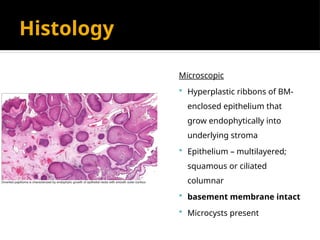 BENIGN AND MALIGNANT CONDITIONS OF NOSE AND PNS.pptx