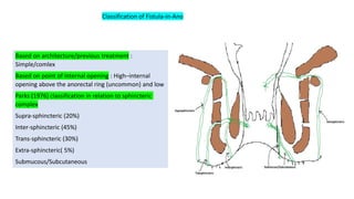 Benign anorectal condition course april 2025.pdf
