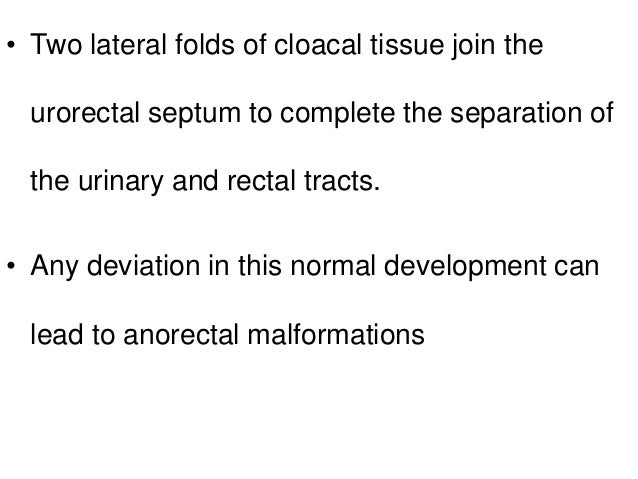 Benign Anorectal Disorders 2 - 