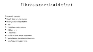 F i b r o u s c o r t i c a l d e f e c t
• Extremely common
• Usually discovered by chance
• Histologically identical to NOF
• • Age
• • Typically occur in children
• • 2-15 y e a r s
• • L o c a t i o n
• • Occurs in distal femur, ends of tibia
• • Metaphysis or diametaphyseal regions
• • Less frequent in upper limbs
 