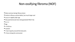 Non-ossifying fibroma (NOF)
• Most common benign fibrous lesion
• Similar to fibrous cortical defect, but much larger and
• occurs in slightly older age
• they spontaneously heal, being gradually filled in by
• b o n e
• Age
• • 10-20 yrs.
• Location
• • Vast majority around the knee joint.
• • Femur being the commonest
 