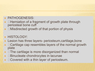  PATHOGENESIS:
 Herniation of a fragment of growth plate through
periosteal bone cuff
 Misdirected growth of that portion of physis
 HISTOLOGY:
 Lesion has three layers- periosteum,cartilage,bone
 Cartilage cap resembles layers of the normal growth
plate
 The cartilage is more disorganized than normal
 Binucleate chondrocytes in lacunae
 Covered with a thin layer of periosteum.
 
