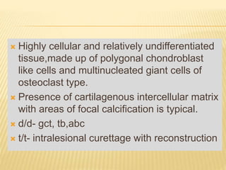  Highly cellular and relatively undifferentiated
tissue,made up of polygonal chondroblast
like cells and multinucleated giant cells of
osteoclast type.
 Presence of cartilagenous intercellular matrix
with areas of focal calcification is typical.
 d/d- gct, tb,abc
 t/t- intralesional curettage with reconstruction
 