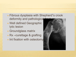  Fibrous dysplasia with Shepherd‟s crook
deformity and pathological fracture
 Well defined Geographic
lytic lesion
 Groundglass matrix
 Rx –curettage & grafting
 Int fixation with osteotomy
 