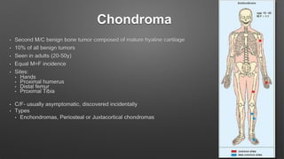 Chondroma
• Second M/C benign bone tumor composed of mature hyaline cartilage
• 10% of all benign tumors
• Seen in adults (20-50y)
• Equal M=F incidence
• Sites:
• Hands
• Proximal humerus
• Distal femur
• Proximal Tibia
• C/F- usually asymptomatic, discovered incidentally
• Types
• Enchondromas, Periosteal or Juxtacortical chondromas
 