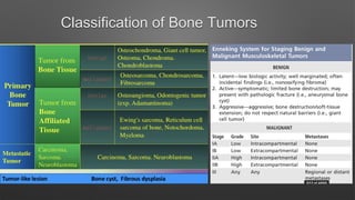 Classification of Bone Tumors
 