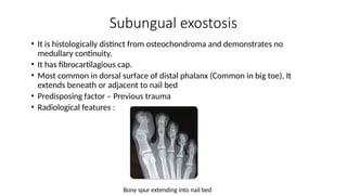 Subungual exostosis
• It is histologically distinct from osteochondroma and demonstrates no
medullary continuity.
• It has fibrocartilagious cap.
• Most common in dorsal surface of distal phalanx (Common in big toe), It
extends beneath or adjacent to nail bed
• Predisposing factor – Previous trauma
• Radiological features :
Bony spur extending into nail bed
 
