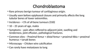 Chondroblastoma
• Rare primary benign tumour of cartilaginous origin.
• Usually seen before epiphyseal closure and primarily affects the long
tubular bones of lower extremities.
• Incidence - <1% of all bone tumours (550)
• 10 – 25 years of age, males
• Symptoms – pain aften reffered to adjacent joint, swelling and
tenderness, joint effusion, pathological fractures.
• Common sites – Proximal femur > distal femur > proximal tibia > proximal
humerus > tarsak bones
• Microscopy – Chicken wire calcification
• Can rarely have metastases to lung
 