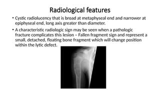 Radiological features
• Cystic radiolucency that is broad at metaphyseal end and narrower at
epiphyseal end, long axis greater than diameter.
• A characteristic radiologic sign may be seen when a pathologic
fracture complicates this lesion – Fallen fragment sign and represent a
small, detached, floating bone fragment which will change position
within the lytic defect.
 