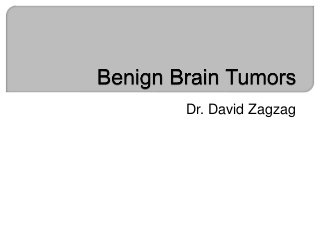 Dr. David Zagzag
 