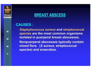 BREAST ABSCESS
 CAUSES :
 Staphylococcus aureus and streptococcal
species are the most common organisms
isolated in puerperal breast abscesses.
 Nonpuerperal abscesses typically contain
mixed flora (S aureus, streptococcal
species) and anaerobes.
 