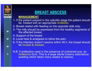 BREAST ABSCESS
 MANAGEMENT
1- If the patient present in the cellulitis stage the patient should
be treated with an appropriate Antibiotic.
2- Breast rested with feeding on the opposite side only.
3- The milk should be expressed from the healthy segments of
the affected breast.
4- Support of the breast
5- Local heat & analgesia to relive the pain.
6- If the infection doesn’t resolve within 48 h, the breast should
be incised & drained.
N.B. if antibiotics used in the presence of undrained pus, an
Antibioma form. This is a large sterile brawny edematous
swelling which takes many weeks to resolve.
 