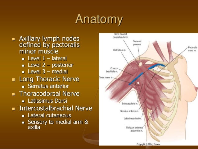Benign breast disease