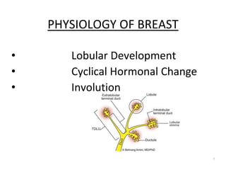 Benign breast disease | PPTX