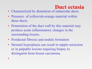 Duct ectasia
• Characterized by distention of subareolar ducts
• Presence of yellowish-orange material within
these ducts....