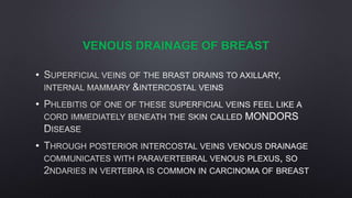 VENOUS DRAINAGE OF BREAST
•
•
•
 