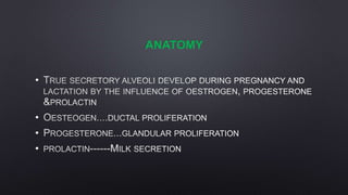 ANATOMY
•
•
•
•
 