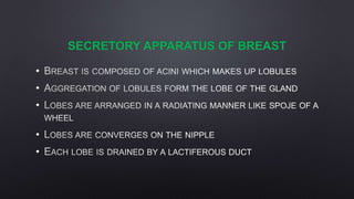 SECRETORY APPARATUS OF BREAST
•
•
•
•
•
 