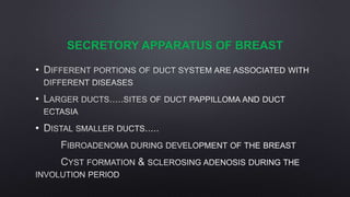 SECRETORY APPARATUS OF BREAST
•
•
•
 