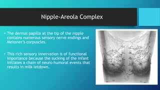 Benign Breast Lesions PPTX benign-breast-lesions-pptx