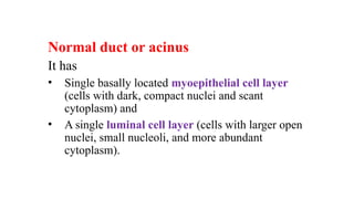 Benign breast lesions.pptx benign breast lesions | PPTX