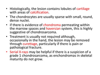 • Histologically, the lesion contains lobules of cartilage
with areas of calcification.
• The chondrocytes are usually sparse with small, round,
dense nuclei.
• if there is evidence of chondroma permeating within
the marrow spaces and haversian system, this is highly
suggestive of chondrosarcoma.
• Treatment is usually not required although,
occasionally in the hand, the lesion may be removed
through curettage, particularly if there is pain or
pathological fracture.
• Serial X-rays may be helpful if there is a suspicion of a
grade 1 chondrosarcoma, as enchondromas in skeletal
maturity do not grow.
 