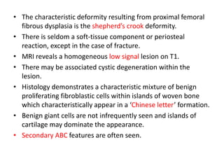 • The characteristic deformity resulting from proximal femoral
fibrous dysplasia is the shepherd’s crook deformity.
• There is seldom a soft-tissue component or periosteal
reaction, except in the case of fracture.
• MRI reveals a homogeneous low signal lesion on T1.
• There may be associated cystic degeneration within the
lesion.
• Histology demonstrates a characteristic mixture of benign
proliferating fibroblastic cells within islands of woven bone
which characteristically appear in a ‘Chinese letter’ formation.
• Benign giant cells are not infrequently seen and islands of
cartilage may dominate the appearance.
• Secondary ABC features are often seen.
 