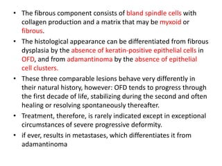 • The fibrous component consists of bland spindle cells with
collagen production and a matrix that may be myxoid or
fibrous.
• The histological appearance can be differentiated from fibrous
dysplasia by the absence of keratin-positive epithelial cells in
OFD, and from adamantinoma by the absence of epithelial
cell clusters.
• These three comparable lesions behave very differently in
their natural history, however: OFD tends to progress through
the first decade of life, stabilizing during the second and often
healing or resolving spontaneously thereafter.
• Treatment, therefore, is rarely indicated except in exceptional
circumstances of severe progressive deformity.
• if ever, results in metastases, which differentiates it from
adamantinoma
 