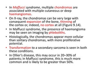• In Maffucci syndrome, multiple chondromas are
associated with multiple cutaneous or deep
haemangiomas.
• On X-ray, the chondromas can be very large with
consequent expansion of the bone, thinning of
the cortex or, indeed, no cortex at all (Figure 9.14).
• In Maffucci syndrome, the presence of haemangioma
may be seen on imaging by phleboliths.
• Histologically, the chondromas appear more cellular
than solitary chondromas, with more proliferative
potential.
• Transformation to a secondary sarcoma is seen in both
these conditions.
• In Ollier’s disease, this may occur in 20–30% of
patients; in Maffucci syndrome, this is much more
common and is likely to be greater than 50%.
 