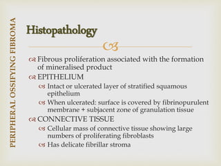 
 Fibrous proliferation associated with the formation
of mineralised product
 EPITHELIUM
 Intact or ulcerated layer of stratified squamous
epithelium
 When ulcerated: surface is covered by fibrinopurulent
membrane + subjacent zone of granulation tissue
 CONNECTIVE TISSUE
 Cellular mass of connective tissue showing large
numbers of proliferating fibroblasts
 Has delicate fibrillar stroma
PERIPHERAL
OSSIFYING
FIBROMA
Histopathology
 