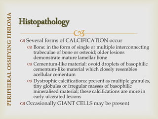 
 Several forms of CALCIFICATION occur
 Bone: in the form of single or multiple interconnecting
trabeculae of bone or osteoid; older lesions
demonstrate mature lamellar bone
 Cementum-like material: ovoid droplets of basophilic
cementum-like material which closely resembles
acellular cementum
 Dystrophic calcifications: present as multiple granules,
tiny globules or irregular masses of basophilic
mineralised material; these calcifications are more in
early ulcerated lesions
 Occasionally GIANT CELLS may be present
PERIPHERAL
OSSIFYING
FIBROMA
Histopathology
 