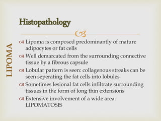 
 Lipoma is composed predominantly of mature
adipocytes or fat cells
 Well demarcated from the surrounding connective
tissue by a fibrous capsule
 Lobular pattern is seen: collagenous streaks can be
seen seperating the fat cells into lobules
 Sometimes lesional fat cells infiltrate surrounding
tissues in the form of long thin extensions
 Extensive involvement of a wide area:
LIPOMATOSIS
LIPOMA
Histopathology
 