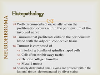 
 Well- circumscribed: especially when the
proliferation occurs within the perineurium of the
involved nerve
 Tumours that proliferate outside the perineurium
blend with the adjacent connective tissue
 Tumour is composed of
 Interlacing bundles of spindle shaped cells
 Cells often exhibit wavy nuclei
 Delicate collagen bundles
 Myxoid matrix
 Sparsely distributed small axons are present within the
lesional tissue : demonstrated by silver stains
NEUROFIBROMA
Histopathology
 