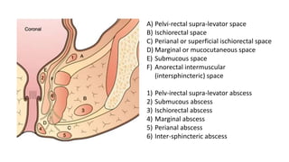 A) Pelvi-rectal supra-levator space
B) Ischiorectal space
C) Perianal or superficial ischiorectal space
D) Marginal or mucocutaneous space
E) Submucous space
F) Anorectal intermuscular
(intersphincteric) space
1) Pelv-irectal supra-levator abscess
2) Submucous abscess
3) Ischiorectal abscess
4) Marginal abscess
5) Perianal abscess
6) Inter-sphincteric abscess
 