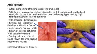 Anal Fissure
• A tear in the lining of the mucosa of the anal canal
• 90% located in posterior midline – typically result from trauma from the hard
stool, also occurs from persistent diarrhoea; underlying hypertonicity (high
resting pressure) of Internal sphincter
• 10% anterior – birth trauma
• Sentinel pile – a skin tag
develops at the distal fissure
margin (painful haemorrhoid)
• Spasm of Internal sphincter
With bowel movement
- Causing pain and reduced
Blood flow in the area causing
Poor wound healing
Chronic Anal fissure > 8weeks
 