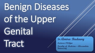 Benign Diseases
of the Upper
Genital
Tract
Dr. Amira Badawy
Lecturer Ob/Gyn
Faculty of Medicine – Alexandria
University
 