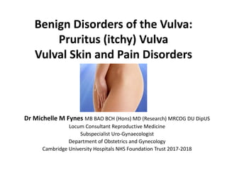 Benign Disorders of the Vulva:
Pruritus (itchy) Vulva
Vulval Skin and Pain Disorders
Dr Michelle M Fynes MB BAO BCH (Hons) MD (Research) MRCOG DU DipUS
Locum Consultant Reproductive Medicine
Subspecialist Uro-Gynaecologist
Department of Obstetrics and Gynecology
Cambridge University Hospitals NHS Foundation Trust 2017-2018
 