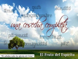 “ Os saludan todas las iglesias de Cristo”  