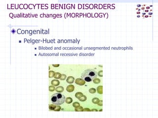 BENIGN LEUCOCYTES DISORDERS.ppt......... | PPT