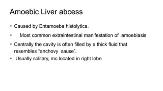 Amoebic Liver abcess
• Caused by Entamoeba histolytica.
• Most common extraintestinal manifestation of amoebiasis
• Centrally the cavity is often filled by a thick fluid that
resembles “anchovy sause”.
• Usually solitary, mc located in right lobe
 