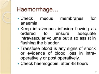 Haemorrhage…
 Check mucus membranes for
anaemia.
 Keep intravenous infusion flowing as
ordered to ensure adequate
intravascular volume but also assist in
flushing the bladder.
 Transfuse blood is any signs of shock
or evidence of blood loss in intra-
operatively or post operatively.
 Check haemogobin. after 48 hours
37
 