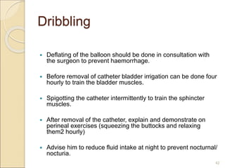 Dribbling
 Deflating of the balloon should be done in consultation with
the surgeon to prevent haemorrhage.
 Before removal of catheter bladder irrigation can be done four
hourly to train the bladder muscles.
 Spigotting the catheter intermittently to train the sphincter
muscles.
 After removal of the catheter, explain and demonstrate on
perineal exercises (squeezing the buttocks and relaxing
them2 hourly)
 Advise him to reduce fluid intake at night to prevent nocturnal/
nocturia.
42
 