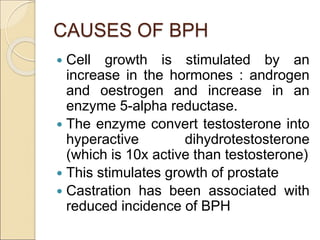 CAUSES OF BPH
 Cell growth is stimulated by an
increase in the hormones : androgen
and oestrogen and increase in an
enzyme 5-alpha reductase.
 The enzyme convert testosterone into
hyperactive dihydrotestosterone
(which is 10x active than testosterone)
 This stimulates growth of prostate
 Castration has been associated with
reduced incidence of BPH
 