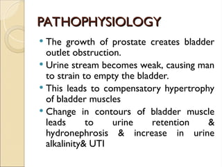 PATHOPHYSIOLOGY
PATHOPHYSIOLOGY
 The growth of prostate creates bladder
outlet obstruction.
 Urine stream becomes weak, causing man
to strain to empty the bladder.
 This leads to compensatory hypertrophy
of bladder muscles
 Change in contours of bladder muscle
leads to urine retention &
hydronephrosis & increase in urine
alkalinity& UTI
 