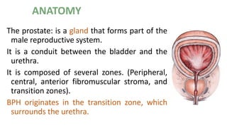 Benign prostate hyperplasia. increase in size of the prostate | PDF