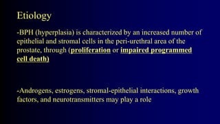 Etiology
-BPH (hyperplasia) is characterized by an increased number of
epithelial and stromal cells in the peri-urethral area of the
prostate, through (proliferation or impaired programmed
cell death)
-Androgens, estrogens, stromal-epithelial interactions, growth
factors, and neurotransmitters may play a role
 