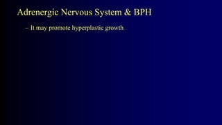 Adrenergic Nervous System & BPH
– It may promote hyperplastic growth
 